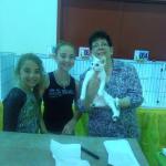 4/13/2014 - TICA 10th best Allbreed kitten with Adriana Kajon